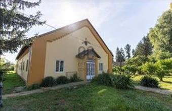 Eladó Kisszentmártoni családi ház hirdetés (15454477)