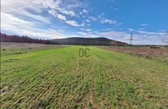 Eladó Fóti egyéb mezőgazdasági ingatlan hirdetés (59935972)