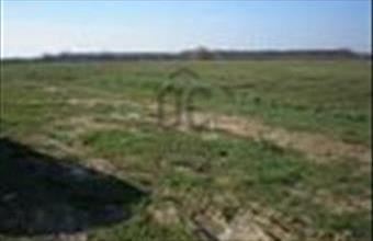 Eladó Budapest XV. kerületi egyéb mezőgazdasági ingatlan hirdetés (52347443)