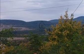 Eladó Szentendrei üdülőövezeti telek hirdetés (99443127)