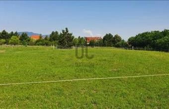 Eladó Gödi egyéb mezőgazdasági ingatlan hirdetés (99523845)