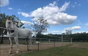 Eladó Gödi egyéb mezőgazdasági ingatlan hirdetés (48394545)