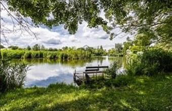 Eladó Veresegyházi családi ház hirdetés (77659463)