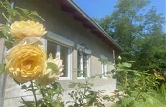 Eladó Váci családi ház hirdetés (35627789)