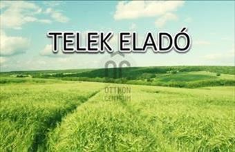 Eladó Csemői külterületi telek hirdetés (49347333)