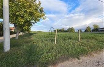 Eladó Dömsödi lakóövezeti telek hirdetés (73459849)