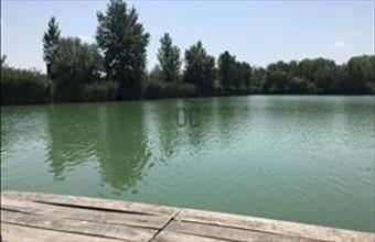 Eladó Délegyházai külterületi telek hirdetés (85799648)