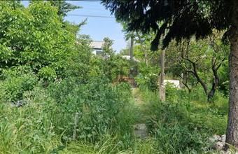 Eladó Budapest XXI. kerületi lakóövezeti telek hirdetés (33332532)