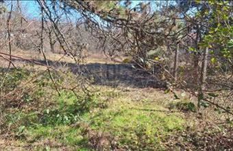 Eladó Törökbálinti üdülőövezeti telek hirdetés (52634934)