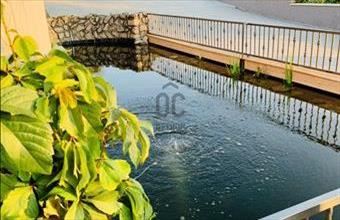 Eladó Sümegi családi ház hirdetés (38482352)