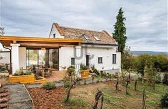 Eladó Kisapáti hétvégi ház hirdetés (44449336)