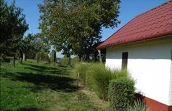 Eladó Zalaszentgróti hétvégi ház hirdetés (74379457)