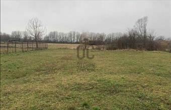 Eladó Ajkai lakóövezeti telek hirdetés (24329329)