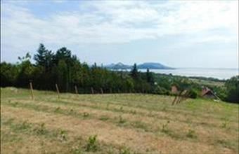 Eladó Balatongyöröki külterületi telek hirdetés (27997473)