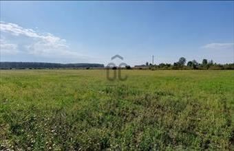 Eladó Csengeri külterületi telek hirdetés (16374643)