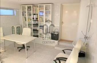 Kiadó Budakeszi egyéb vendéglátó ingatlan hirdetés (96672543)