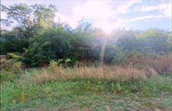 Eladó Csomádi egyéb mezőgazdasági ingatlan hirdetés (87432436)