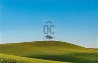 Eladó Ráckevei külterületi telek hirdetés (24743584)