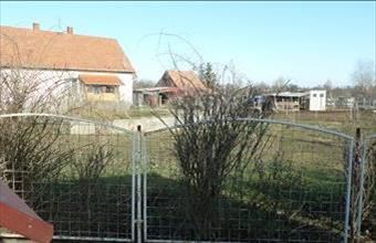 Eladó Tiszaszőlősi lakóövezeti telek hirdetés (43346999)