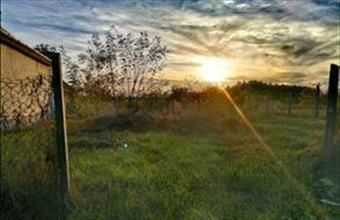 Eladó Egyeki lakóövezeti telek hirdetés (73543251)