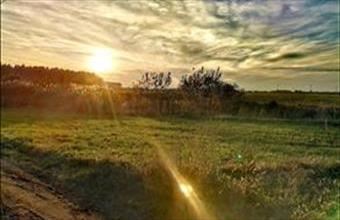 Eladó Egyeki lakóövezeti telek hirdetés (85239732)