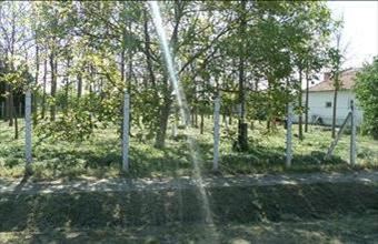 Eladó Tiszaszőlősi lakóövezeti telek hirdetés (53283459)