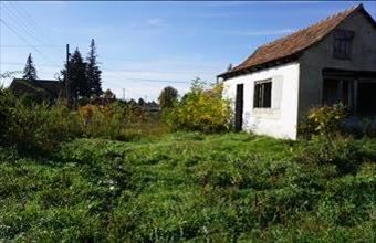 Eladó Tiszacsegei családi ház hirdetés (19135467)