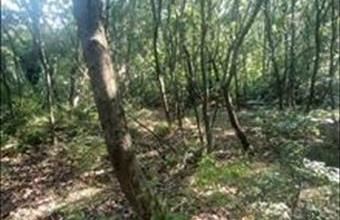 Eladó Érdi lakóövezeti telek hirdetés (37738472)