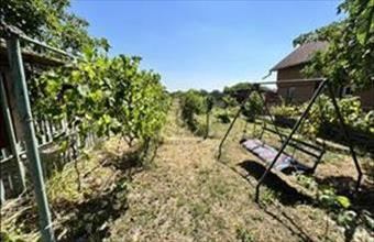 Eladó Ercsi lakóövezeti telek hirdetés (59633427)