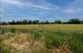 Eladó Sárszentmihályi családi ház hirdetés (23381816)