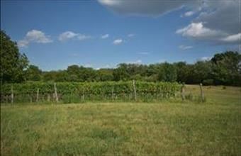 Eladó Holládi egyéb mezőgazdasági ingatlan hirdetés (34534775)