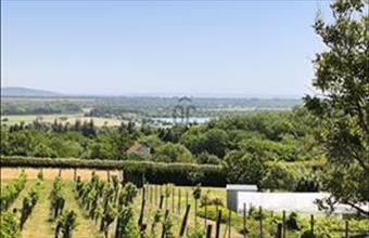 Eladó Alsópáhoki hétvégi ház hirdetés (95351177)