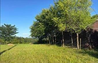 Eladó Nagyrécsei lakóövezeti telek hirdetés (27842433)