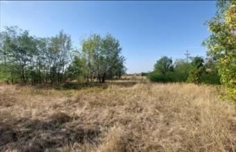 Eladó Gyömrői egyéb mezőgazdasági ingatlan hirdetés (49874772)