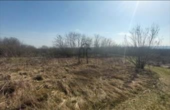 Eladó Sülysápi lakóövezeti telek hirdetés (45592352)