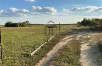 Eladó Gyömrői lakóövezeti telek hirdetés (56278326)