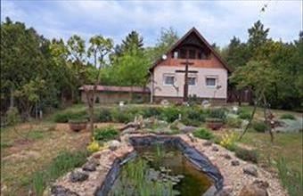 Eladó Albertirsai családi ház hirdetés (98152446)