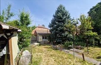 Eladó Ráckevei családi ház hirdetés (22448359)