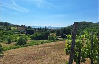 Eladó Nemesgulácsi egyéb mezőgazdasági ingatlan hirdetés (91384744)