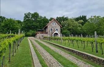 Eladó Badacsonytomaji hétvégi ház hirdetés (52445313)