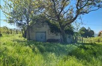 Eladó Nemesgulácsi hétvégi ház hirdetés (93949149)