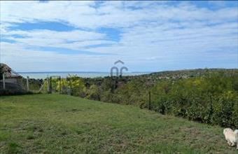 Eladó Balatonkenesei külterületi telek hirdetés (77373447)