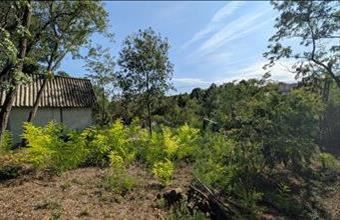 Eladó Balatonkenesei lakóövezeti telek hirdetés (24557276)
