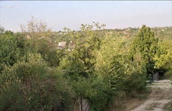 Eladó Balatonkenesei üdülőövezeti telek hirdetés (94989952)