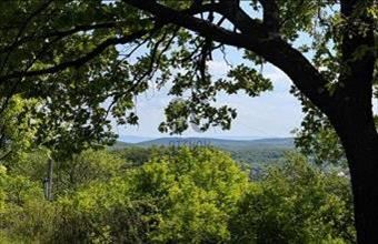 Eladó Balatonszőlősi külterületi telek hirdetés (32373225)