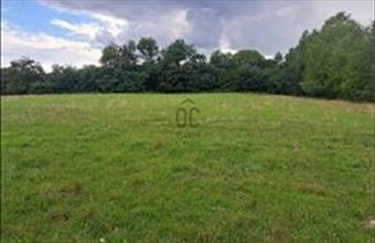 Eladó Szalafői lakóövezeti telek hirdetés (45944554)