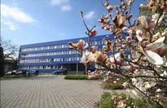 Kiadó Tatabányai hotel, szálloda, panzió hirdetés (85223373)