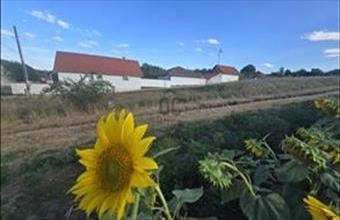 Eladó Rózsaszentmártoni lakóövezeti telek hirdetés (52464336)