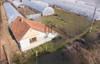 Eladó Csányi családi ház hirdetés (43629933)