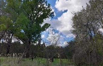 Eladó Tápióbicskei egyéb mezőgazdasági ingatlan hirdetés (95649694)